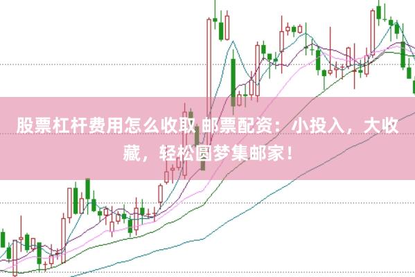 股票杠杆费用怎么收取 邮票配资：小投入，大收藏，轻松圆梦集邮家！