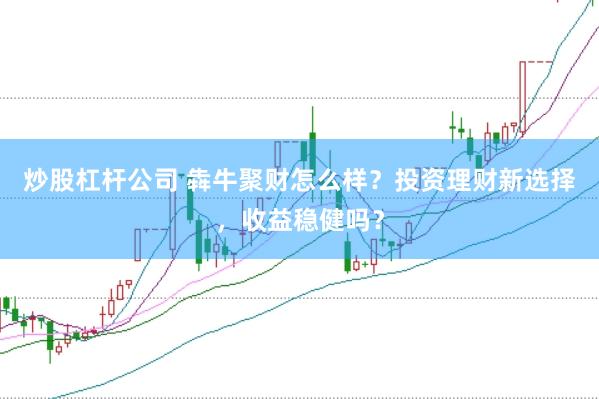 炒股杠杆公司 犇牛聚财怎么样？投资理财新选择，收益稳健吗？