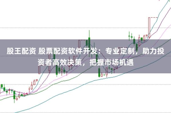 股王配资 股票配资软件开发：专业定制，助力投资者高效决策，把握市场机遇
