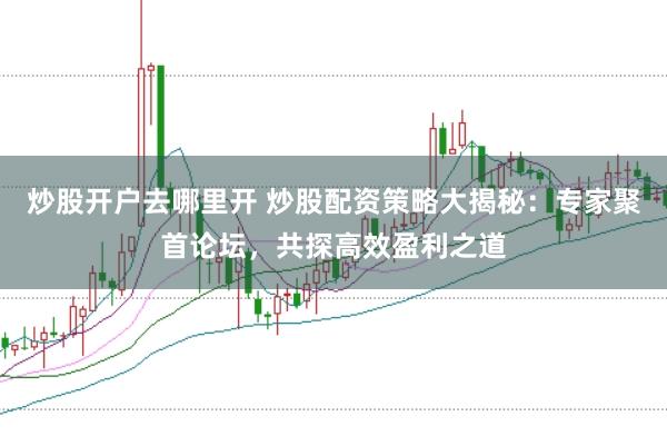 炒股开户去哪里开 炒股配资策略大揭秘：专家聚首论坛，共探高效盈利之道