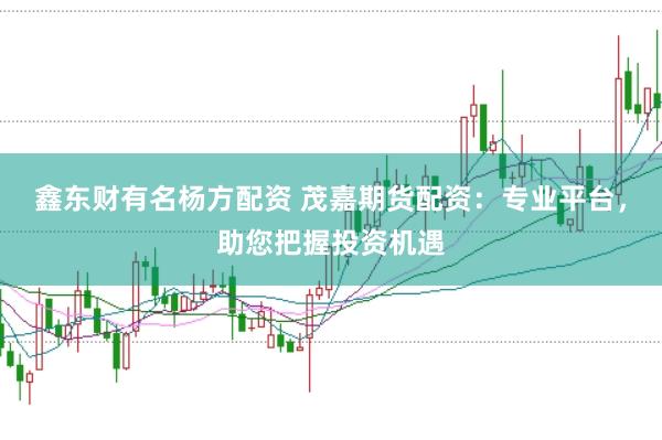 鑫东财有名杨方配资 茂嘉期货配资：专业平台，助您把握投资机遇