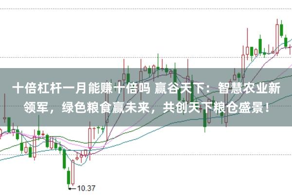十倍杠杆一月能赚十倍吗 赢谷天下：智慧农业新领军，绿色粮食赢未来，共创天下粮仓盛景！