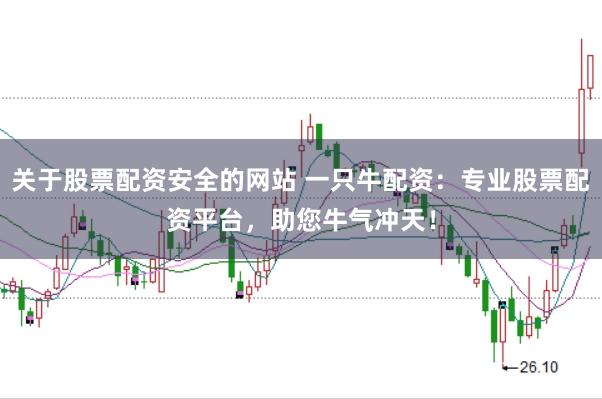 关于股票配资安全的网站 一只牛配资：专业股票配资平台，助您牛气冲天！
