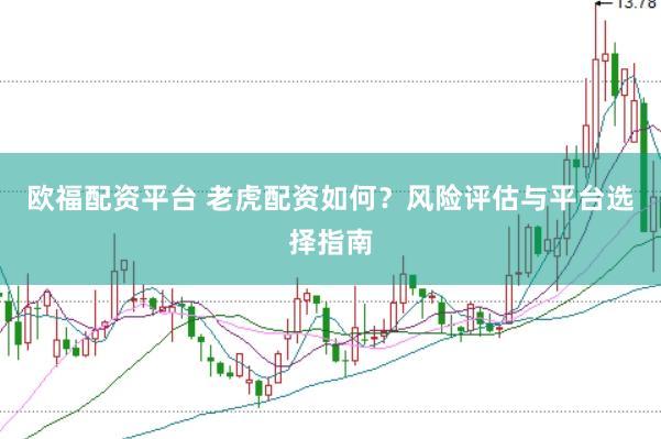 欧福配资平台 老虎配资如何？风险评估与平台选择指南