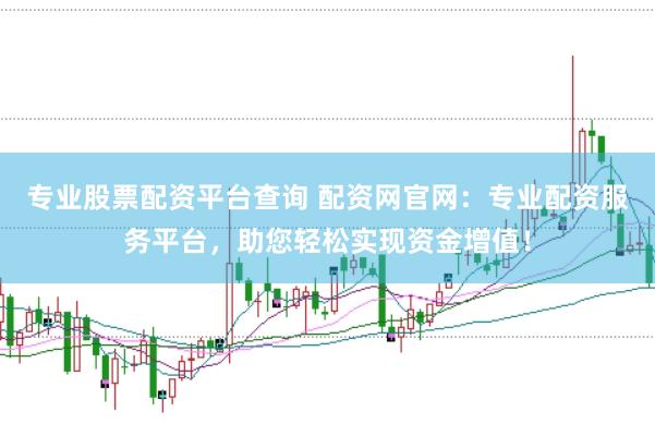 专业股票配资平台查询 配资网官网：专业配资服务平台，助您轻松实现资金增值！