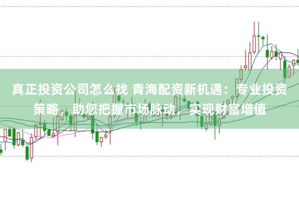 真正投资公司怎么找 青海配资新机遇：专业投资策略，助您把握市场脉动，实现财富增值