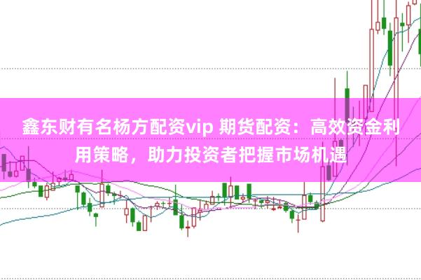 鑫东财有名杨方配资vip 期货配资：高效资金利用策略，助力投资者把握市场机遇