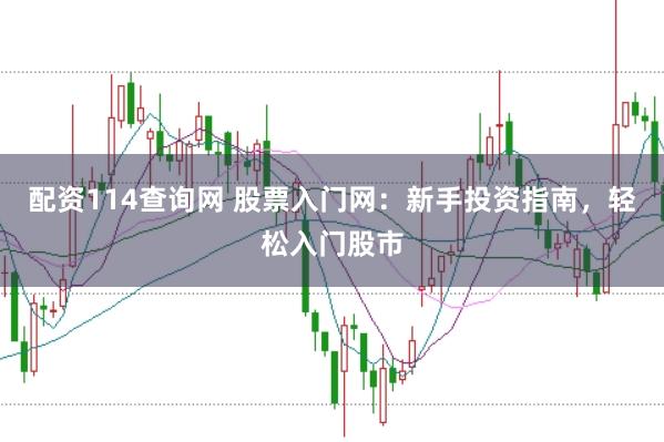 配资114查询网 股票入门网：新手投资指南，轻松入门股市