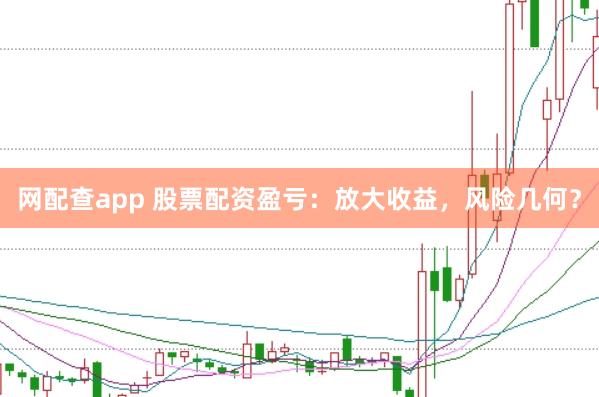 网配查app 股票配资盈亏:放大收益,风险几何?