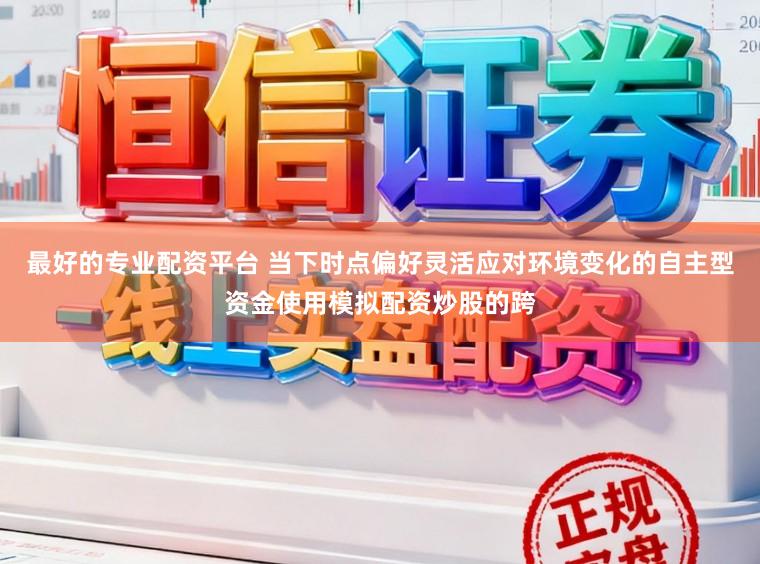 最好的专业配资平台 当下时点偏好灵活应对环境变化的自主型资金使用模拟配资炒股的跨